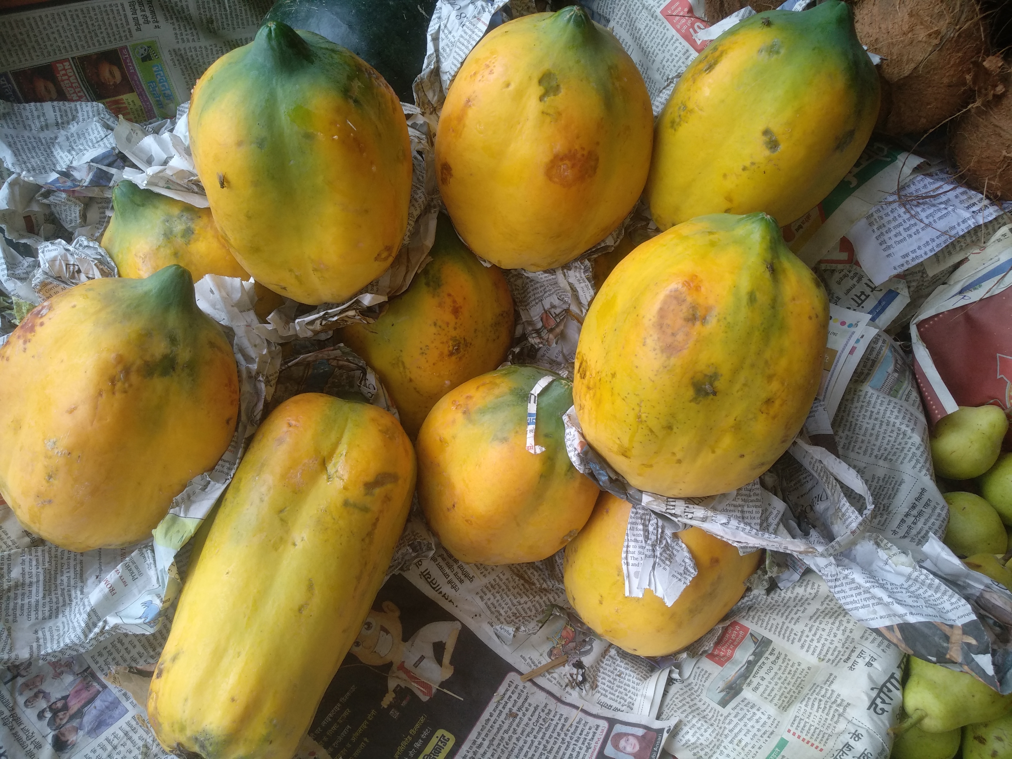 Papaya (Papit) 