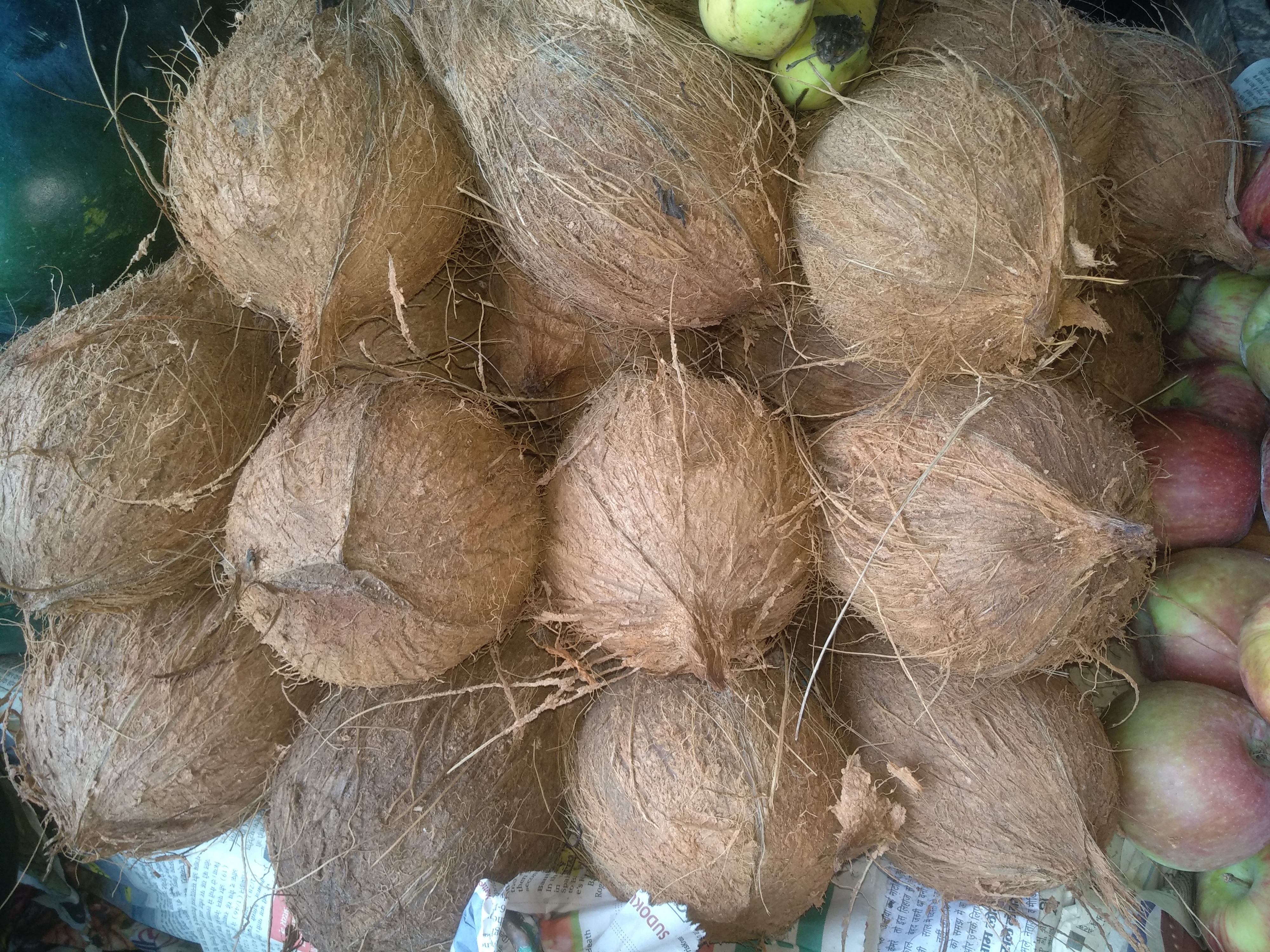 Coconut 